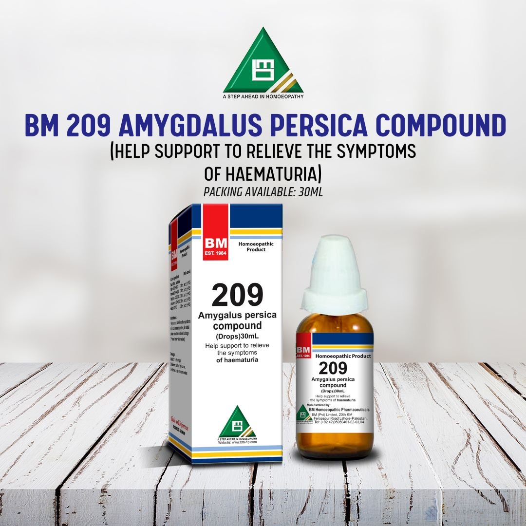 BM 209