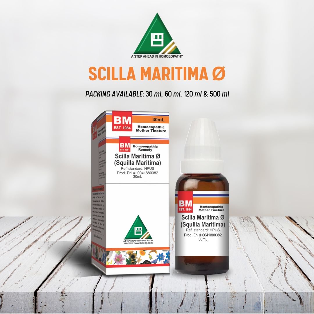 SCILLA MARITIMA Ø