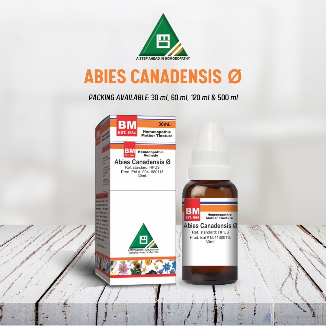 Abies Canadensis Ø