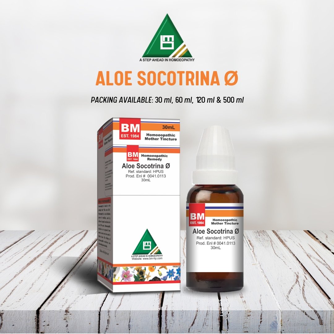 Aloe Socotrina Ø
