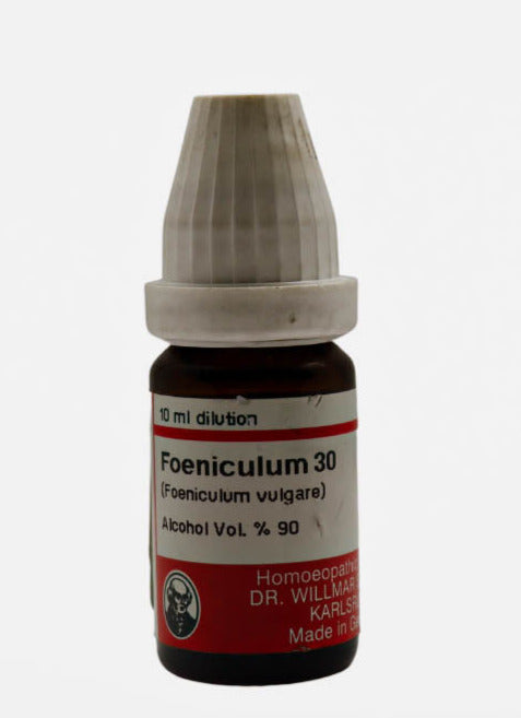 Foeniculum