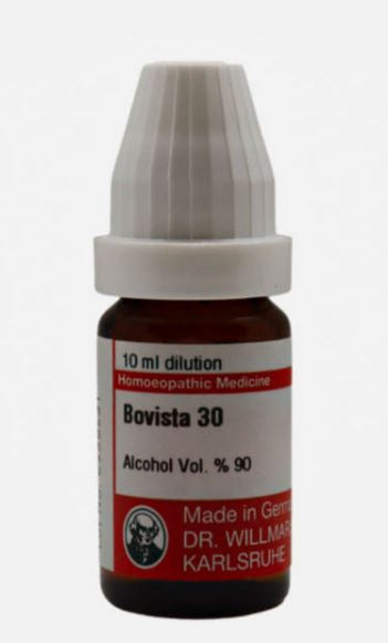 Bovista