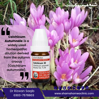 Colchicum autumnale 