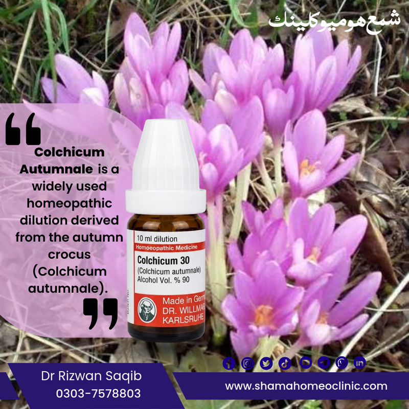 Colchicum autumnale 