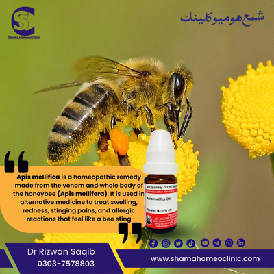 ایپس میلیفیکا 