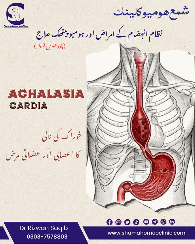 ایکلیزیا کارڈیا 